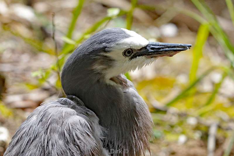 nieuw-zeeland otorohanga waitomo