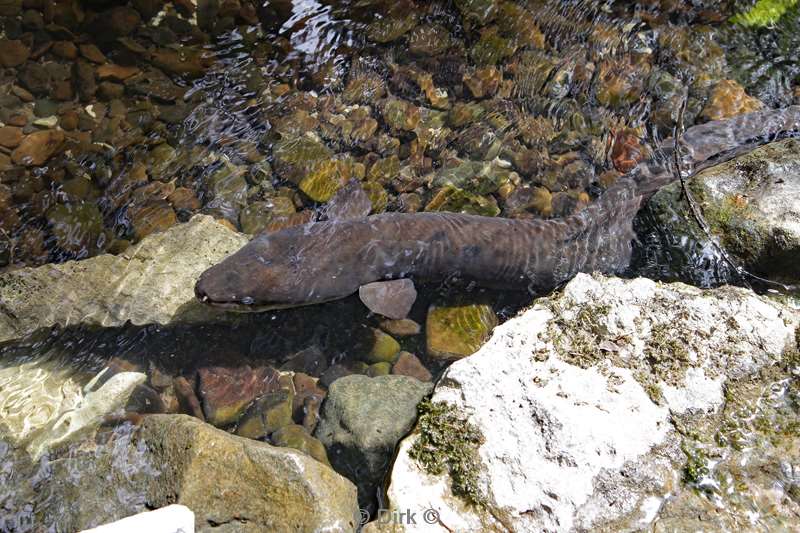 nieuw-zeeland otorohanga waitomo