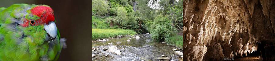 Nieuw-Zeeland kiwi otorohanga gloeiwormen waitomo