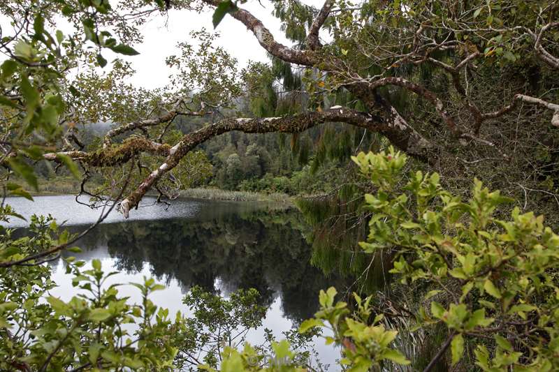 new zealand lake matheson