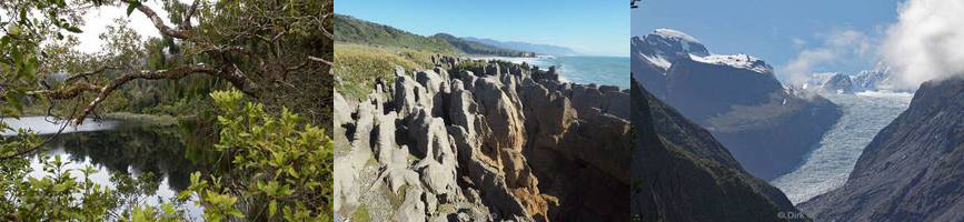 new zealand pancake rocks punakaiki