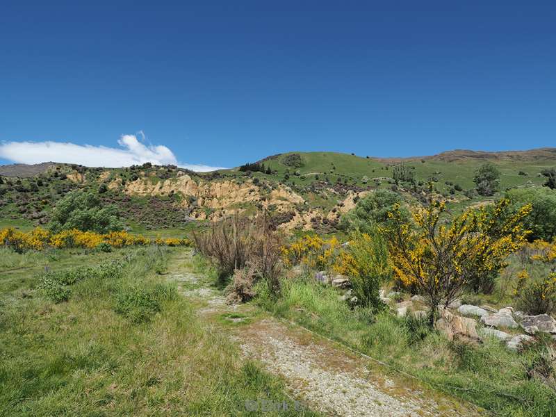 nieuw-zeeland queenstown naar wanaka