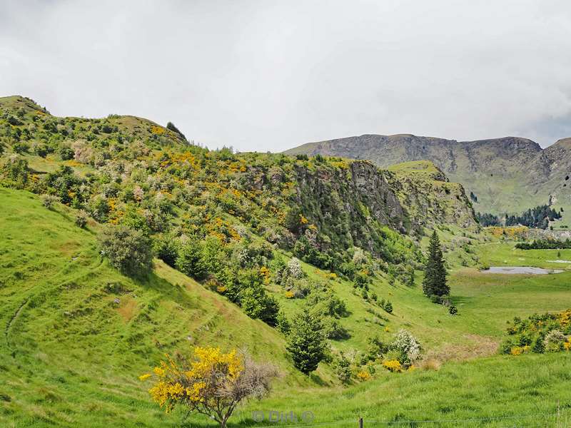 nieuw-zeeland te anau lodge