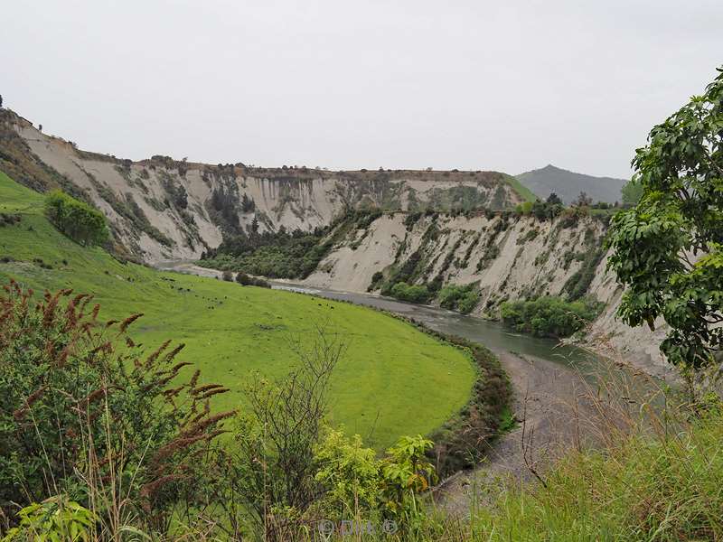 nieuw-zeeland wellington