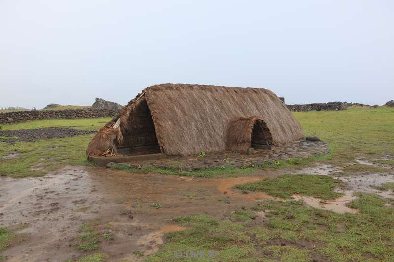 paaseiland moai beelden akahanga