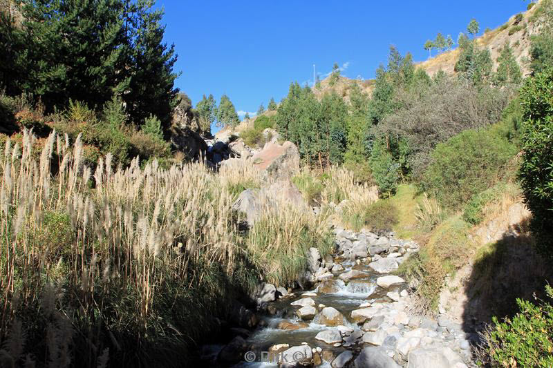 colca canyon peru