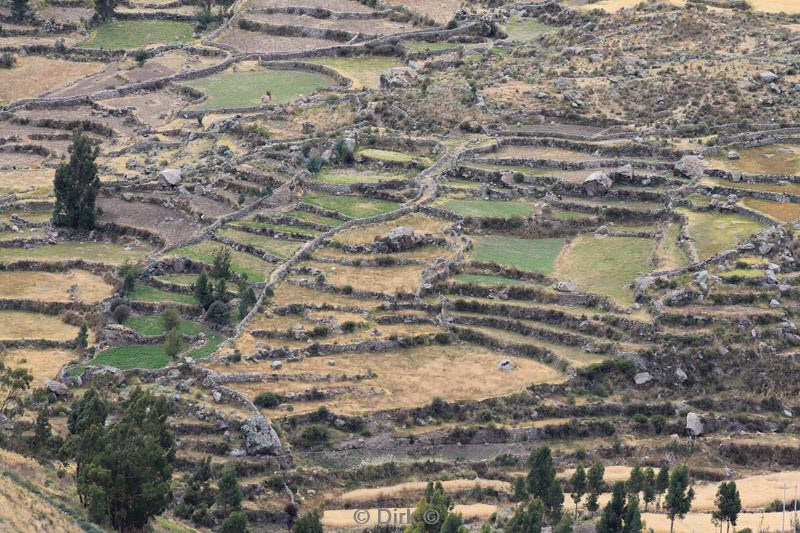 colca canyon peru