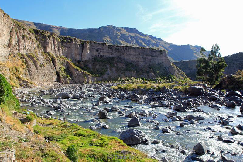 colca canyon peru