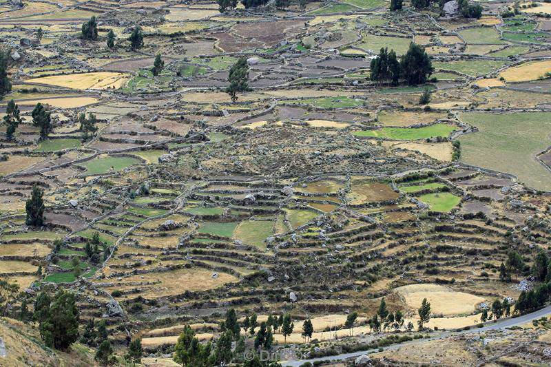 colca canyon peru