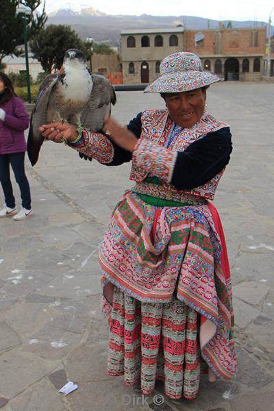 cruz del condor peru