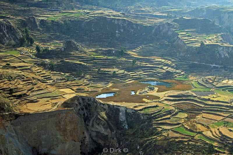 cruz del condor peru