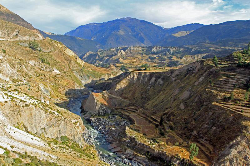 cruz del condor peru