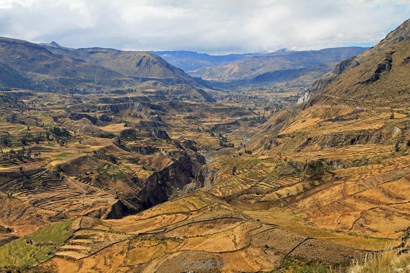 cruz del condor peru