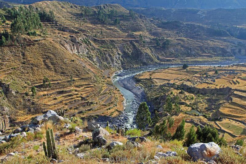 cruz del condor peru