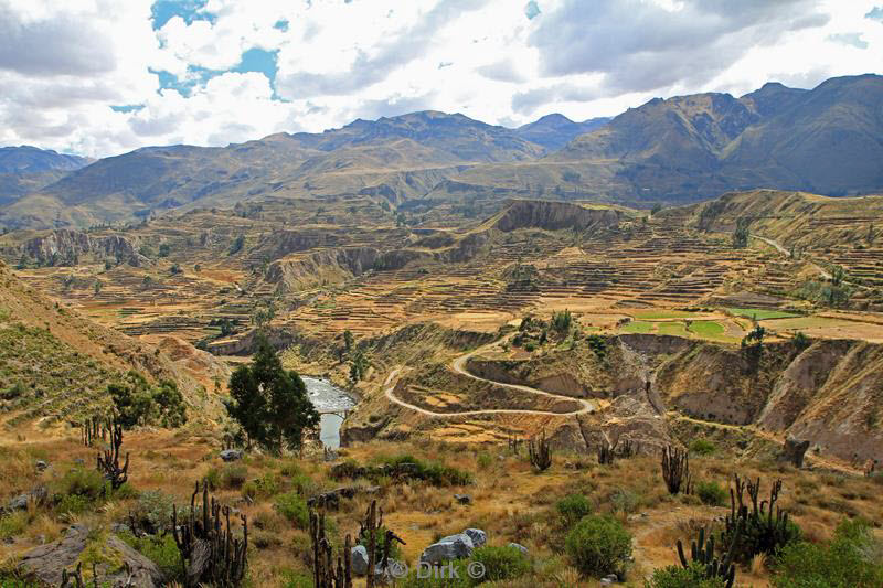 cruz del condor peru