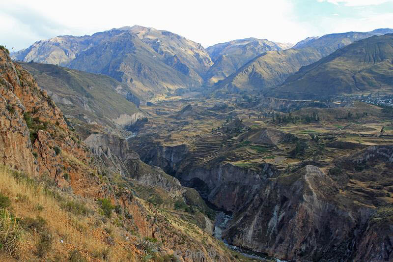 cruz del condor peru