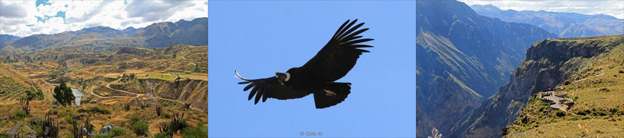 cruz del condor peru