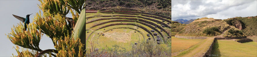 moray peru