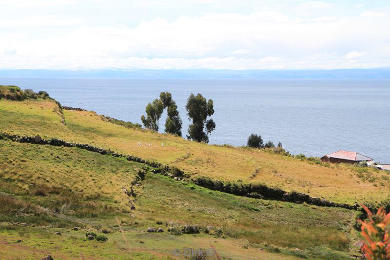 titicacameer puno peru