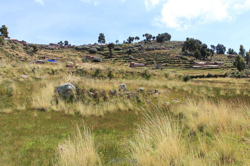 titicacameer puno peru