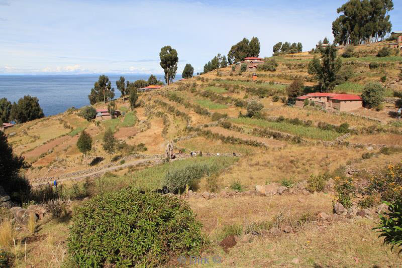 titicacameer puno peru