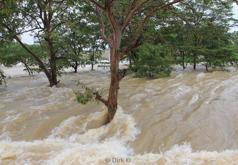 sri lanka flooding