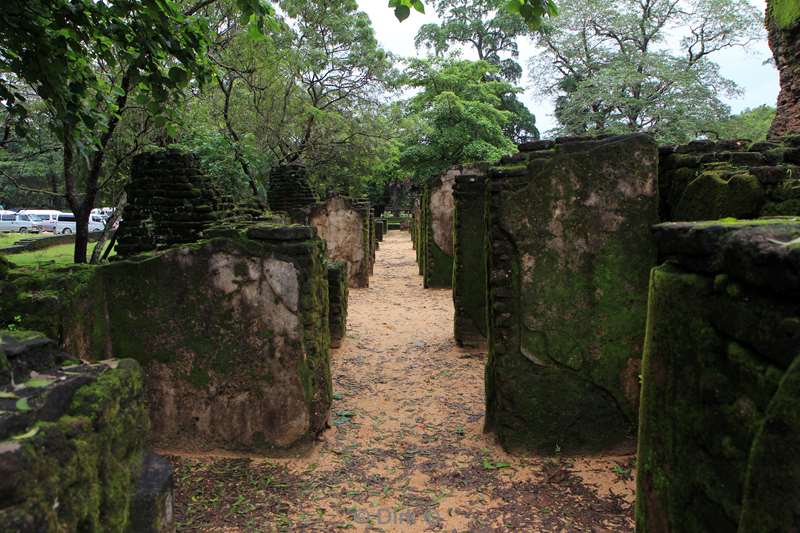 sri lanka buddhist temples in polonnaruwa