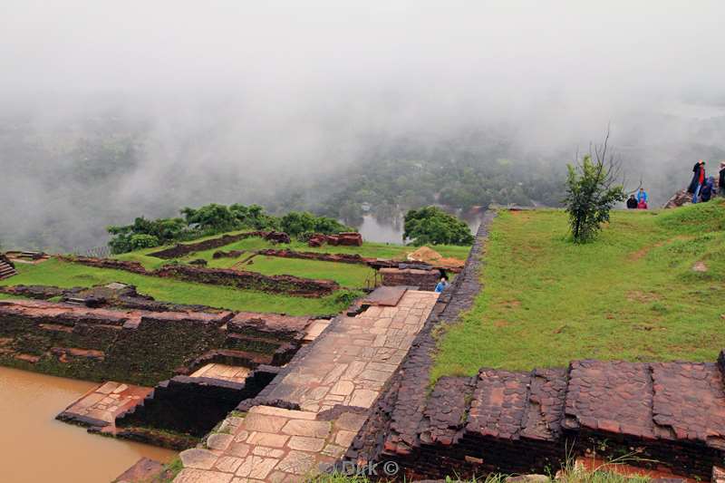 sri lanka sigiriya leeuwenrots