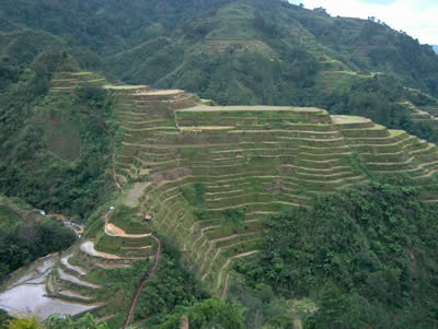 rijstterassen Filipijnen Manado