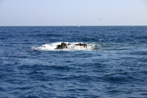 dive site richelieu rock